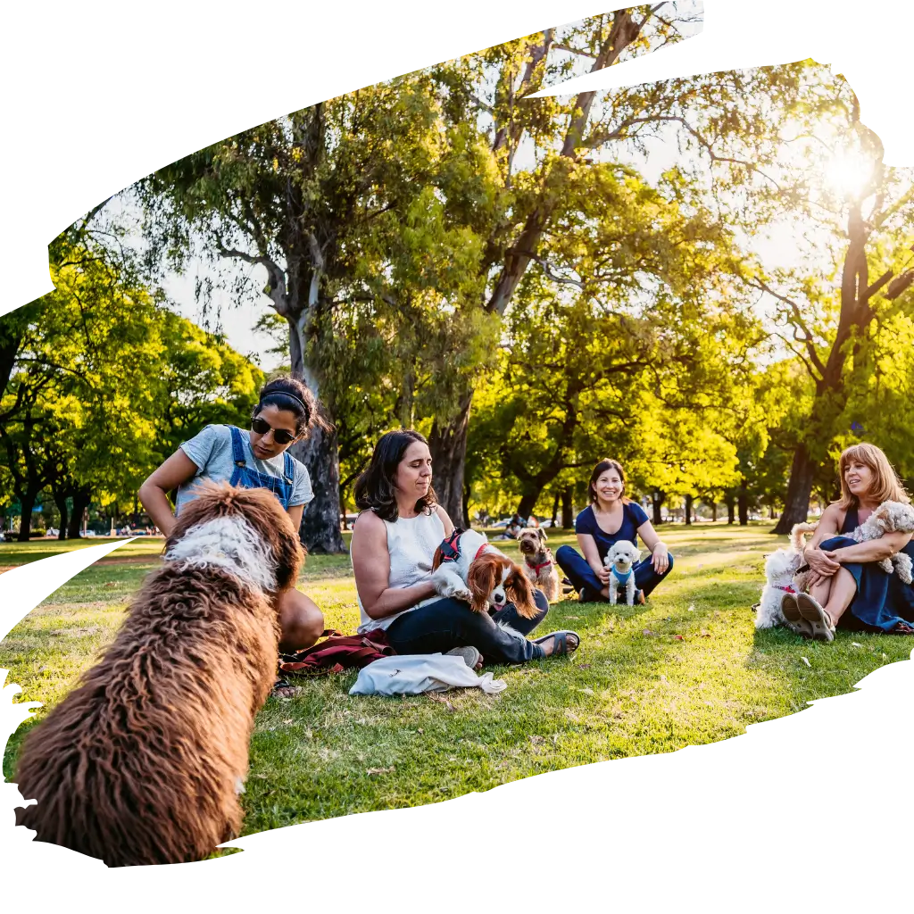 A group of people with their emotional support dogs.