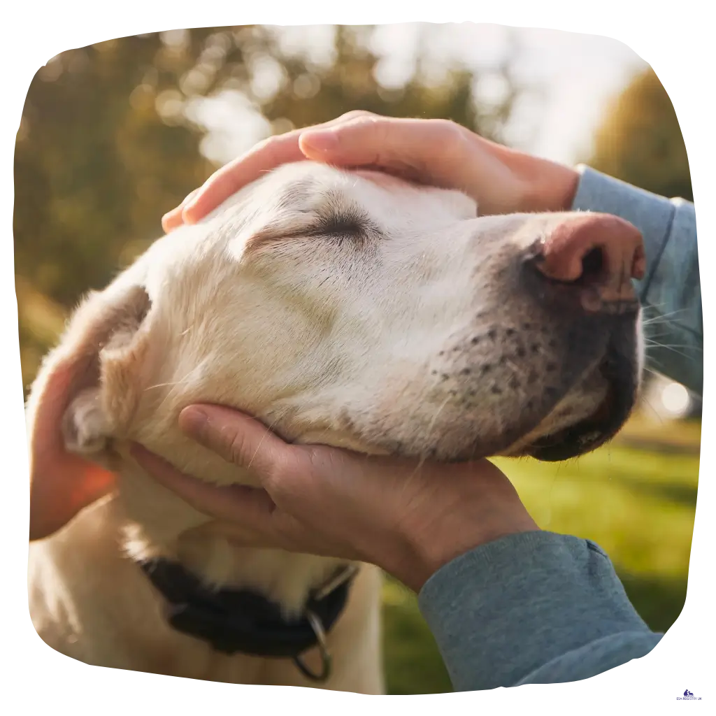 A lady petting her emotional support dog in the UK.