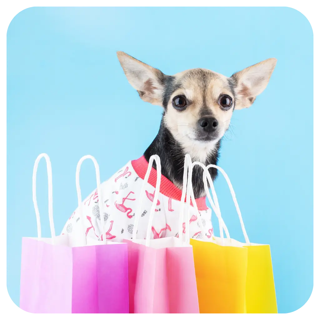 Emotional Support Animal in a store after registering with ESA registry UK