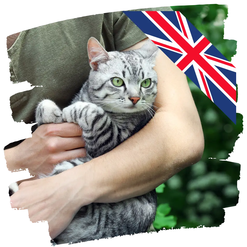 A happy lady clutching her emotional support cat close.