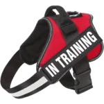 Emotional support animal harness in red, with an in training patch, by ESA Registry UK.