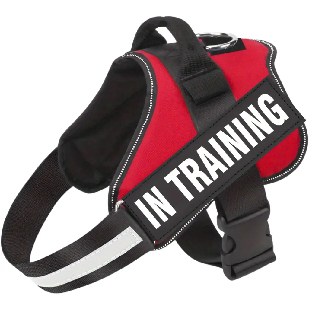 Emotional support animal harness in red, with an in training patch, by ESA Registry UK.
