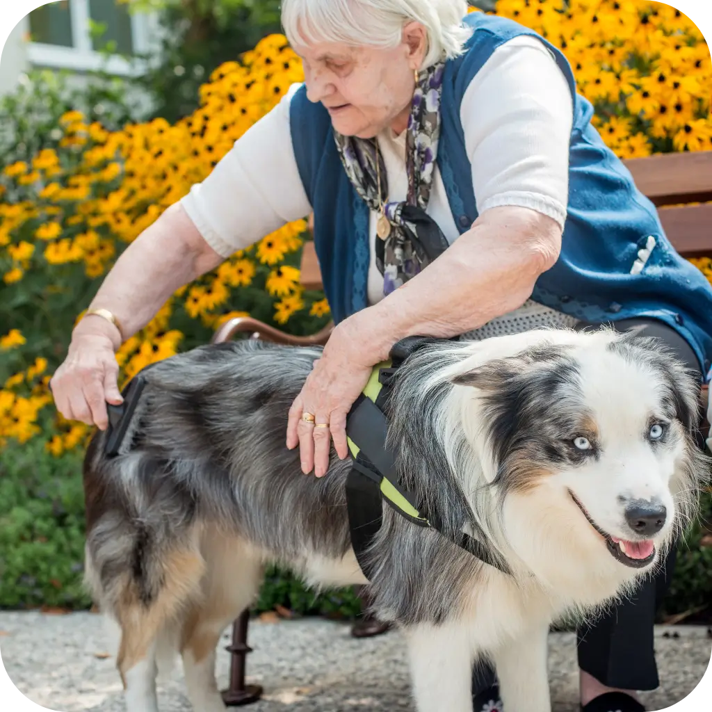 Old lady with her emotional support animal after getting her emotional support animals registered with ESA Registry UK