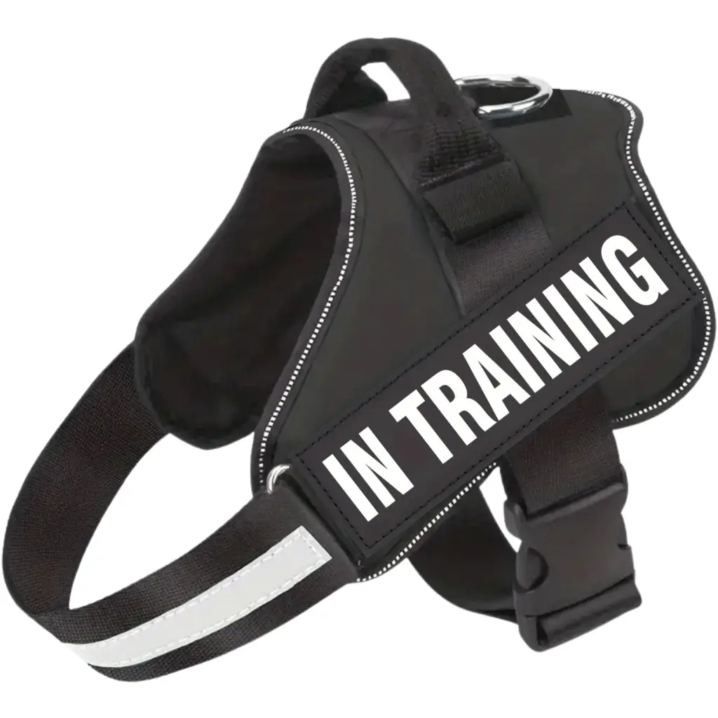 Black emotional support dog harness with in training message, by ESA Registry UK.