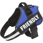 Emotional support dog harness in blue, with a friendly message by ESA Registry UK.