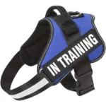 Emotional Support Dog Harness in Blue with In Training Message, by ESA Registry UK.