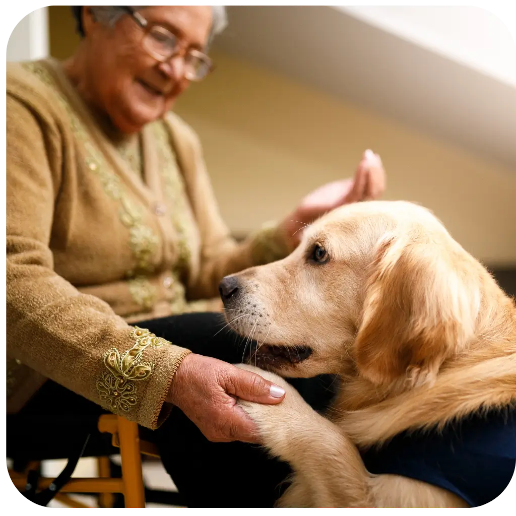 An old lady with anxiety with her Psychiatric Assistance Dog