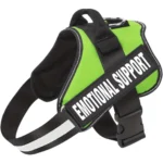 Emotional support dog harness in green, by ESA Registry UK.