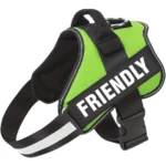 Emotional support dog harness in green, by ESA Registry UK.
