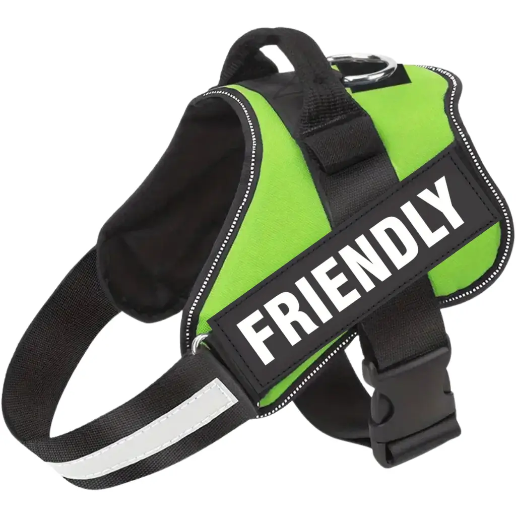 Emotional support dog harness in green, by ESA Registry UK.