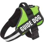 Emotional support dog harness in green, with a guide dog label, by ESA registry UK.