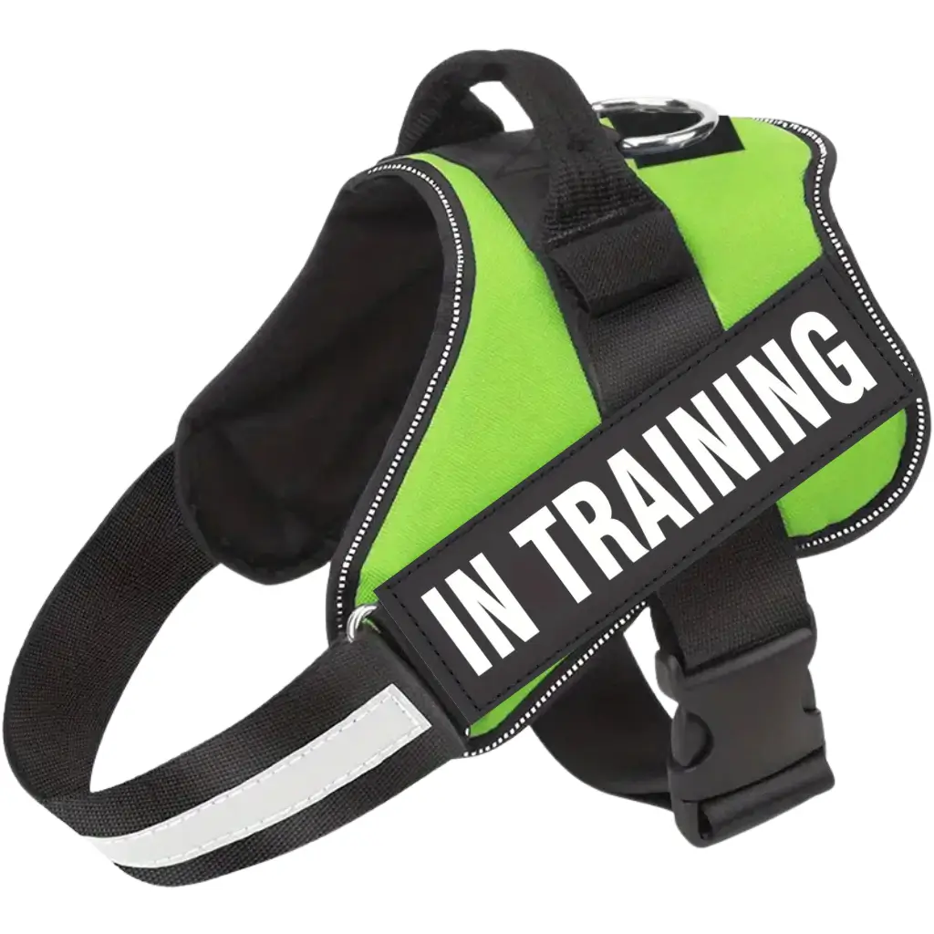 Emotional support dog harness in green, with an in training label, by ESA Registry UK.
