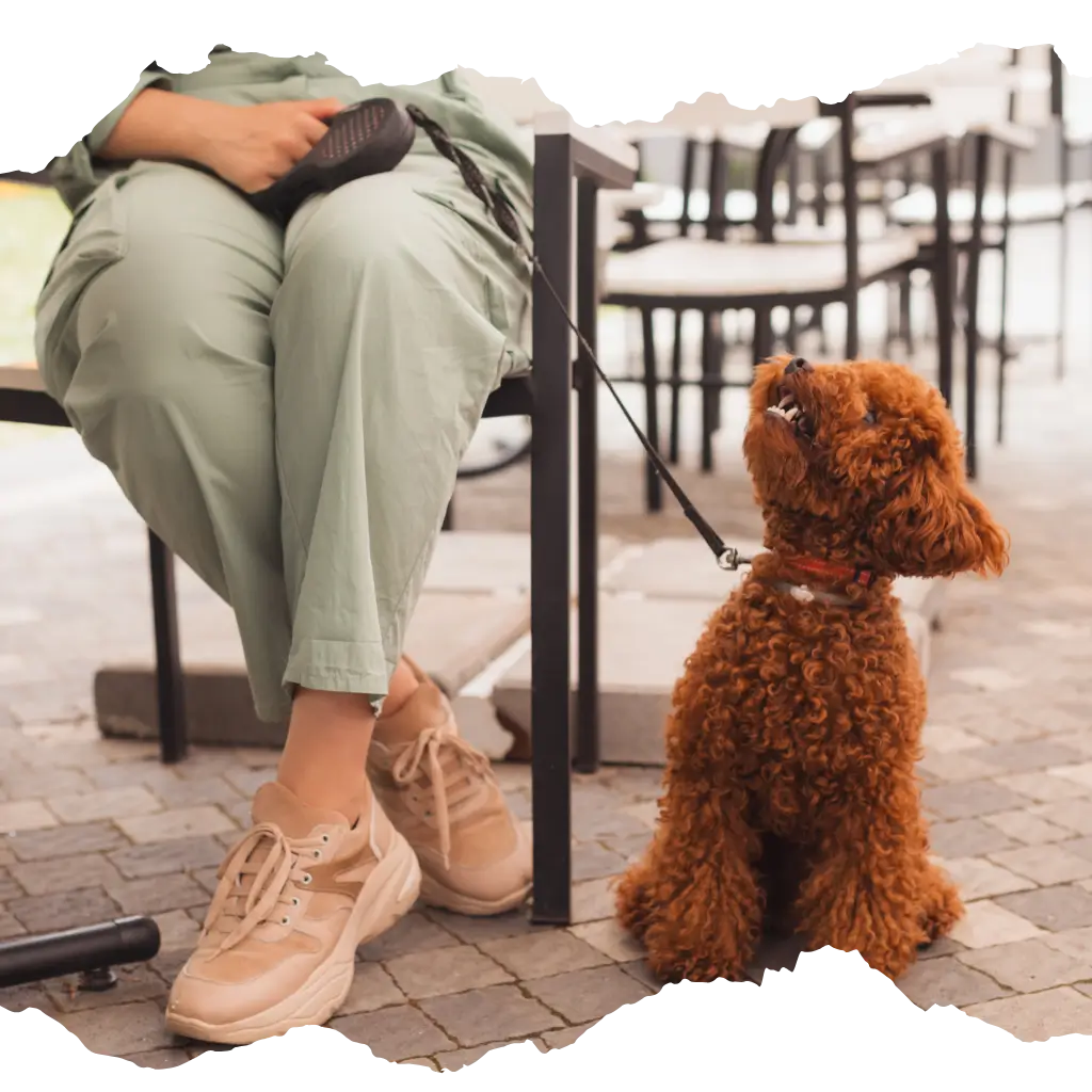 Women with an ID card in a public space after her emotional support animal has been registered with ESA Registry UK